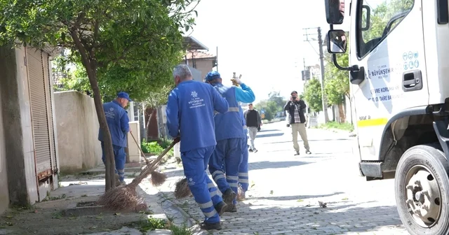 Aydın Büyükşehir den, çevre düzenleme ve bakım çalışması Aydın Haberleri