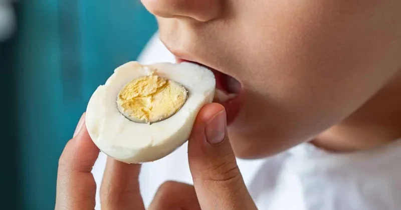 Günde 1 yumurta yiyenlerin vücudu 15 yıl sonra bu hale geliyor! Sözcü Gazetesi