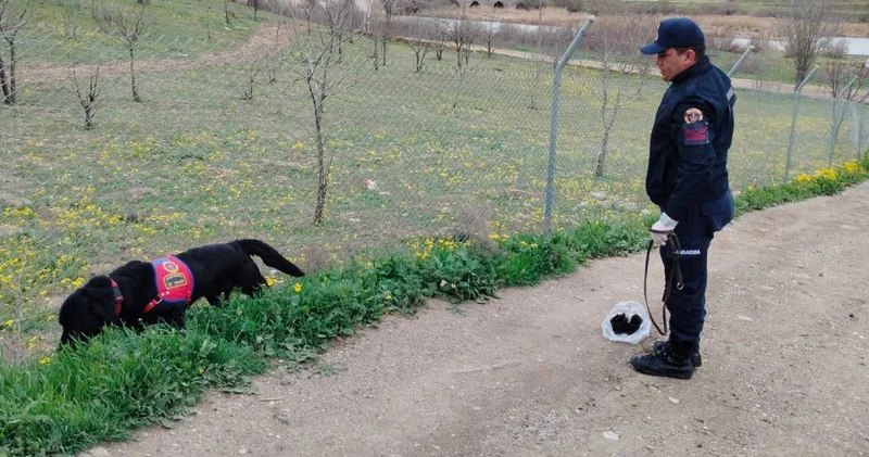Taksiyle gitti bir daha haber alınamadı: Arama çalışmaları 3. gününde!