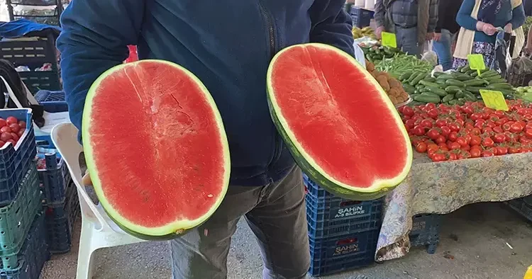 Sezonun ilk karpuzları tezgahlarda! İşte fiyatı