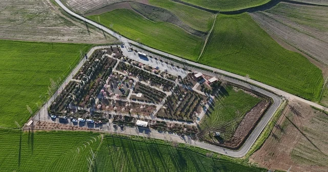 Sunurlu nun minik meclis üyeleri fidan dikti Çorum Haberleri