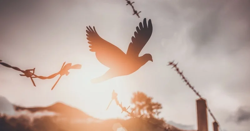 Kişisel gelişim nedir ve nasıl uygulanır?