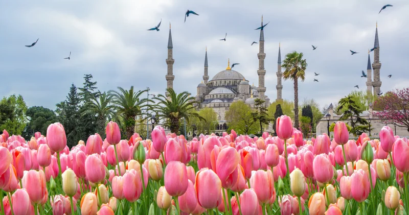 İstanbul Lale Festivali başladı! Emirgan dan Sultanahmet e bu renkli şölene eşlik edebileceğiniz rengarenk duraklar!