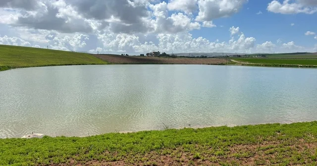 Kuraklıkla kuruma noktasına gelen gölet yağışlarla yeniden canlandı Siirt Haberleri