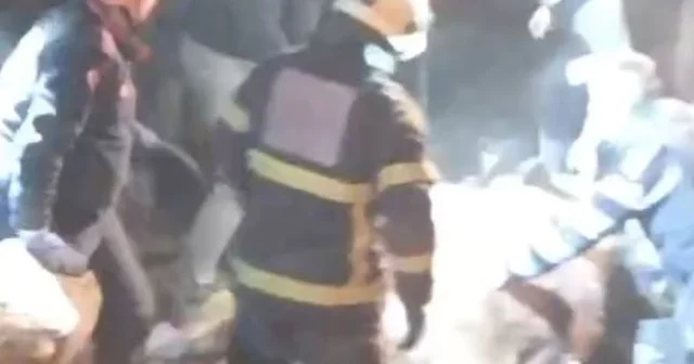 Kastamonu da ahırın çatısı çöktü; 4 büyükbaş öldü Kastamonu Haberleri