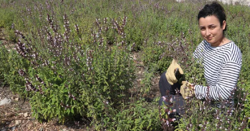 Yazılımdan bıkan mühendis memleketine dönüp tarıma başladı