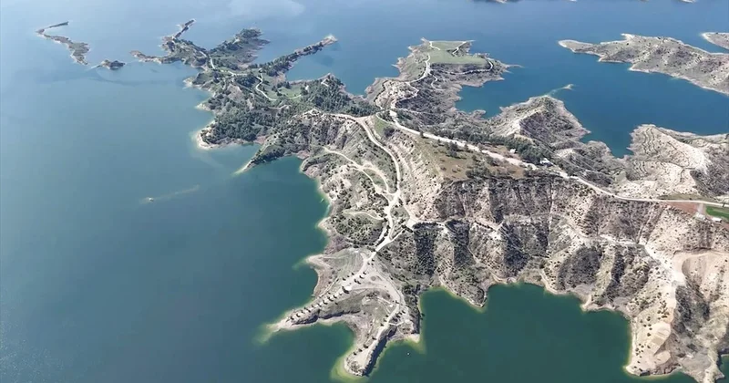 Türkiye’de milyonları besliyordu! Şimdi rekora koşuyor Sözcü Gazetesi