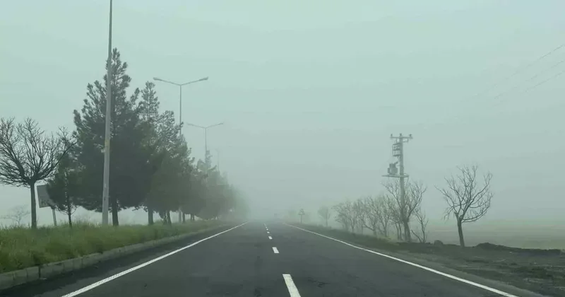 Diyarbakır güne sisle uyandı