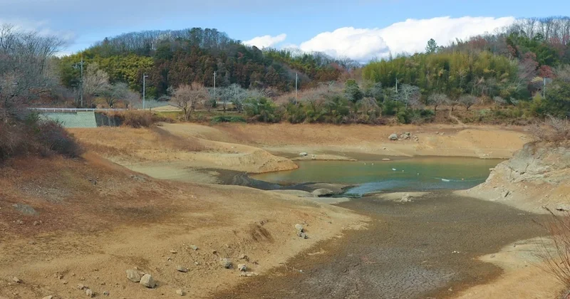 Türkiye de yaz mevsimi 5 ay sürecek: Uzmanlar çöl iklimine hazırlanın uyarısı yaptı Sözcü Gazetesi