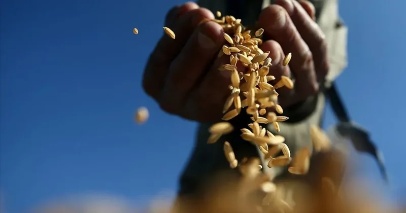 Jeopolitik gerilimler emtia piyasalarını sarsıyor: Altın, petrol ve tarım ürünlerinde ilk çeyrek analizi