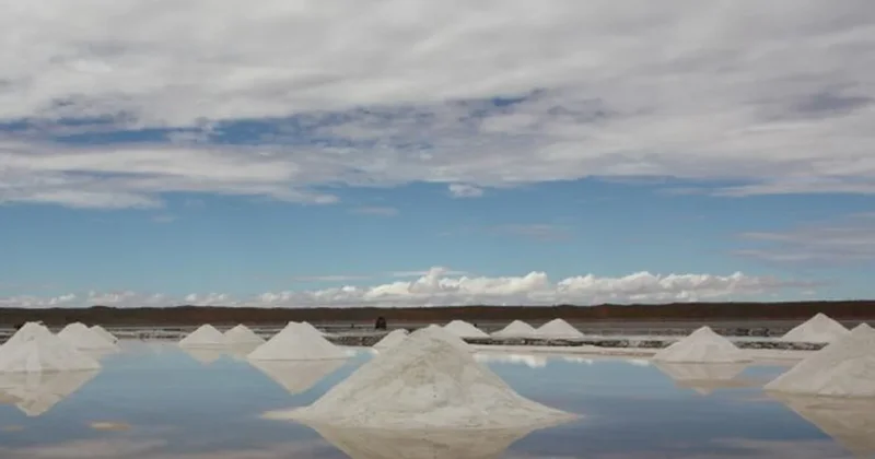 Evini satıp çöle yatırım yapan kadın milyoner oldu Sözcü Gazetesi