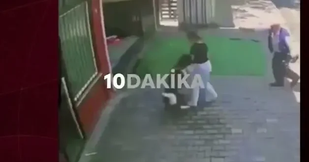Masum yavrularımız köpeklere yem oluyor! İstanbul da dehşete düşüren anlar