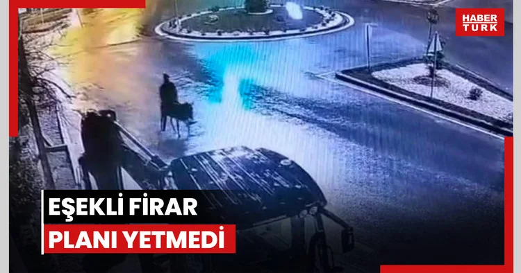 Eşekli firar planı yetmedi: 9 yıl 7 ay hapis cezası