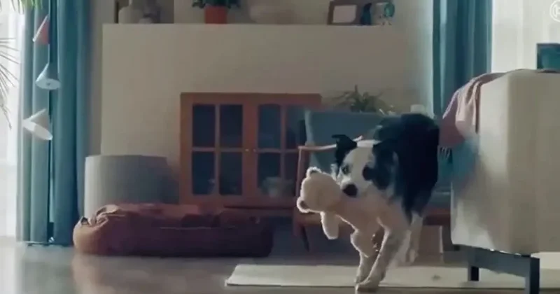 Bosch un skandal reklamına tepkiler sürüyor: Türkiye nin değer dünyası hafife alınıyor