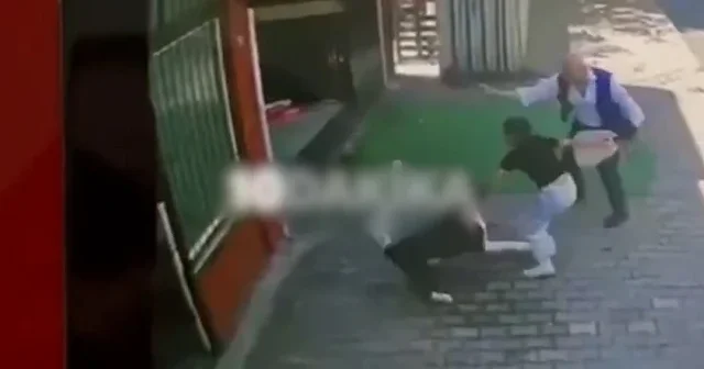 Bağcılar’da sahipsiz köpek dehşet saçtı: Küçük kızın kolunu koparıyordu VİDEO İZLE