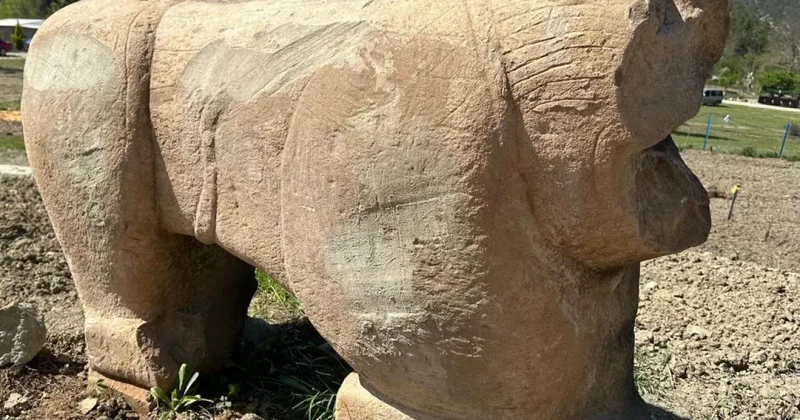 Roma dönemine ait aslan heykeli ele geçirildi