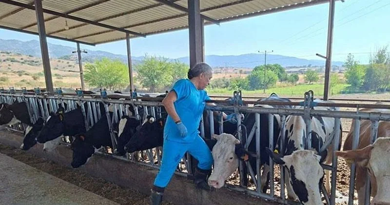 Aydın da Şap Hastalığı Nedeniyle Karantina