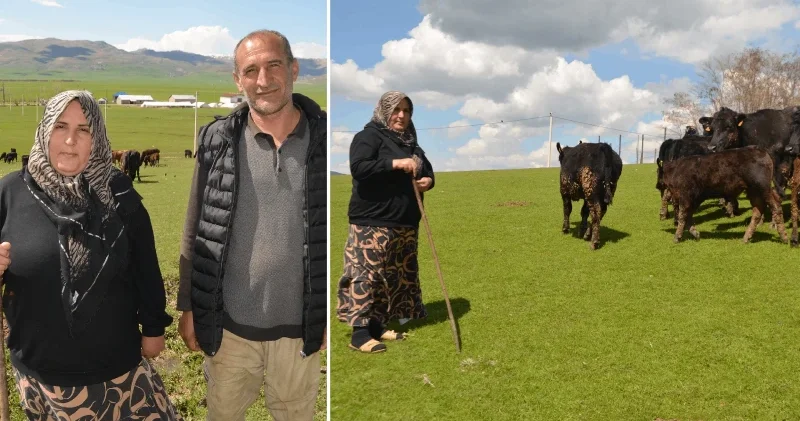 Muşlu dört çocuk annesinin başarı hikayesi: 15 inekle başladı, 9 ayda sürüsünü ikiye katladı Türkiye Ekonomisi Haberleri