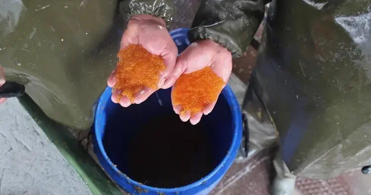 Daha üretilmeden satıldı! Türkiye’nin yeni siyah altın operasyonu