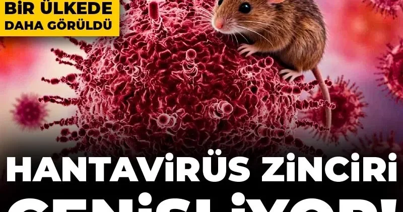 Hantavirüs zinciri genişliyor! Avrupa dan sonra bir ülkede daha görüldü