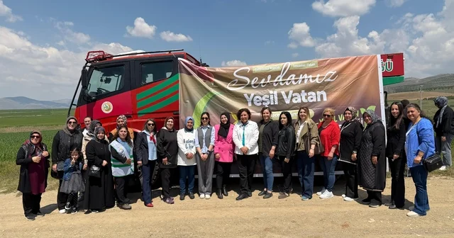 AK Parti Kırşehir Teşkilatından fidan dikim etkinliği Kırşehir Haberleri