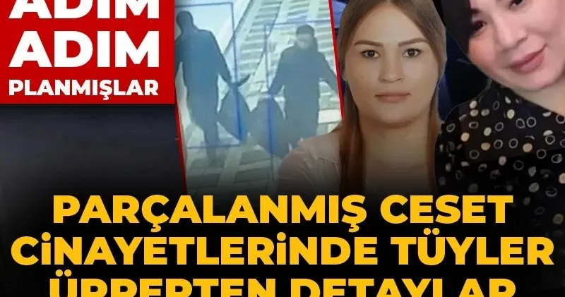 Parçalanmış ceset cinayetlerinde tüyler ürperten detaylar ortaya çıktı! Her şeyi adım adım planmışlar