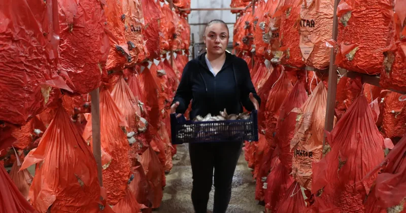Üretimini yaptı, sadece 11 haftada köşeyi döndü Sözcü Gazetesi