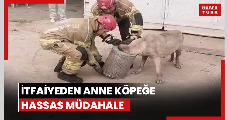 İtfaiyeden anne köpeğe hassas müdahale