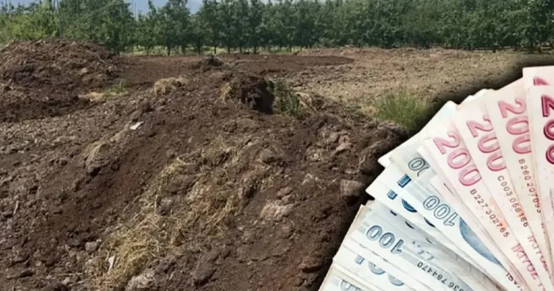 Günlük 5 bin liraya işçi bulamıyorlar! Çiftçiler zorlanıyor