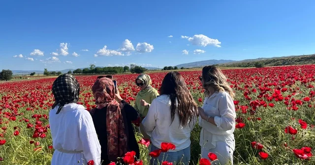 Elazığ da oluşan doğal gelincik tarlasına vatandaşlar akın etti Elazığ Haberleri