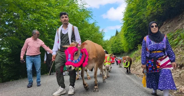 Trabzon un Şalpazarı ilçesinde geleneksel yayla göçü başladı İneklerini gelin gibi süsleyerek yaylanın yolunu tuttular Trabzon Haberleri