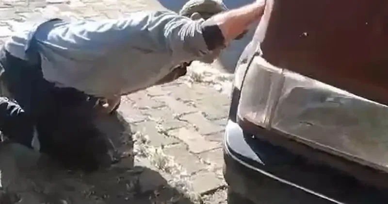 Tokat’ta aracın motor kısmına giren yılanı itfaiye ekipleri kürekle yakaladı