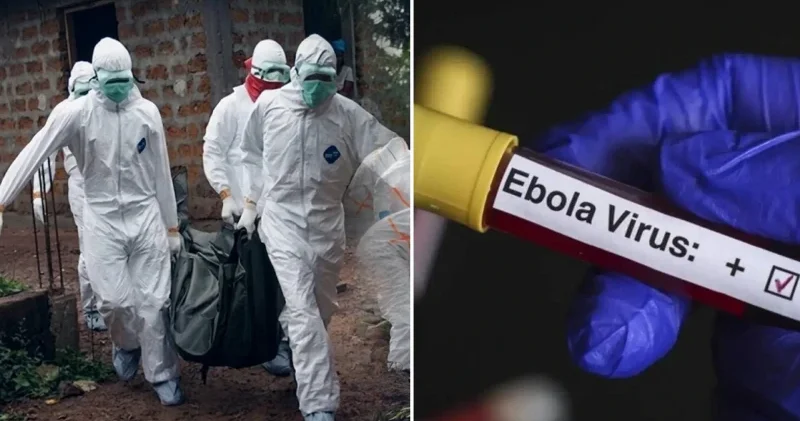 Ebola krizi büyüyor: Kongo dan sonra Uganda da vaka sayısı artıyor Dünya Haberleri