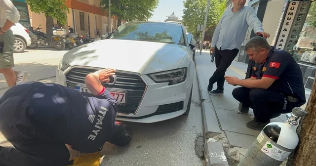 Bir arabadan çıkıp başka arabaların altına giren kedi itfaiyecilere zor anlar yaşattı Bilecik Haberleri