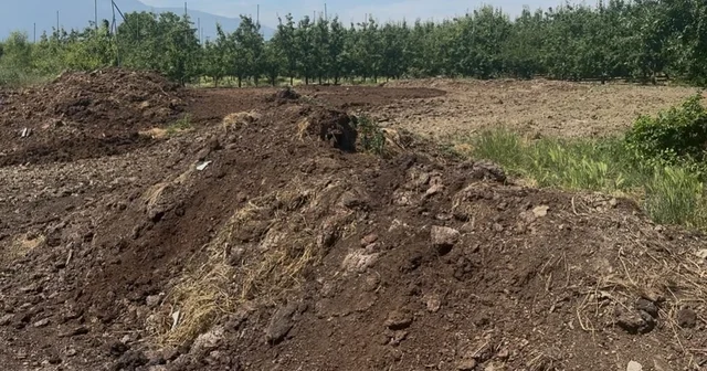 Organik gübre fiyatları geçen yıl ile aynı Bursa Haberleri