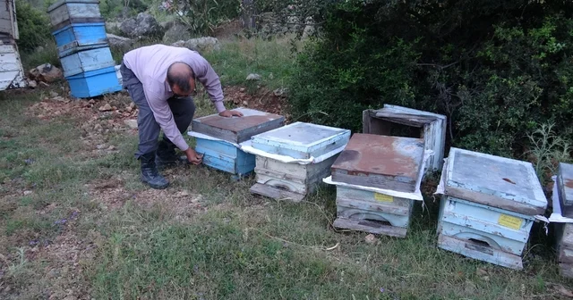Keven ve kekik balı için yayla yolculuğu başladı Kozan da arıcıların bal mesaisi başladı Adana Haberleri