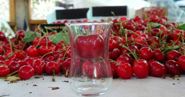 Çanakkale de çay bardağına sığmayan Lapseki kirazında hasat başladı Çanakkale Haberleri