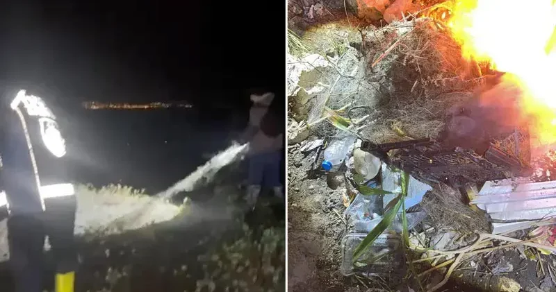 Van Gölü nde kaçak avlanan 400 kilo inci kefali suya bırakıldı