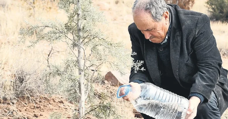 Helal olsun Mustafa amca