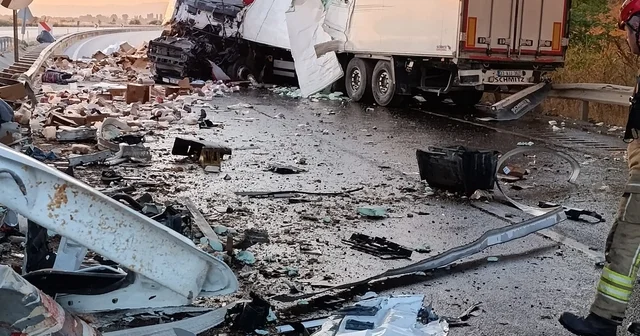 Köprüdeki beton bariyere çarpan tavuk yüklü kamyonun sürücüsü hayatını kaybetti Bursa Haberleri Habertürk Yerel Haberler