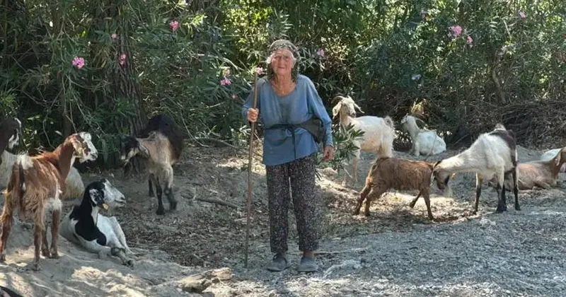 90 yaşındaki çobanı gören hayret ediyor