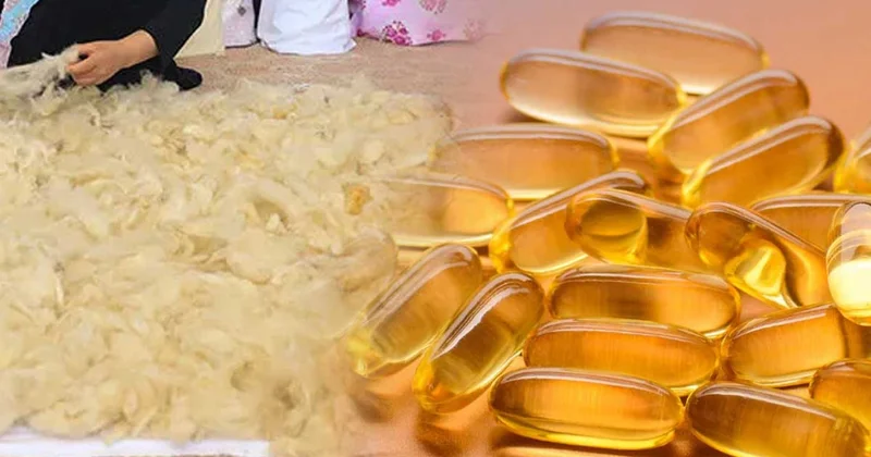 Bu vitamin koyun yününden yapılıyormuş Sözcü Gazetesi