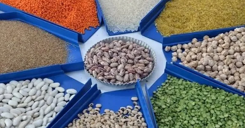 Dünyayı Süper El Nino vurdu: Türkiye üretim üssü oldu: 5,8 milyar dolarlık bereket!