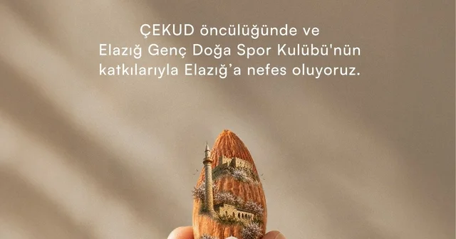 Elazığ da atıl araziler için 20 bin badem fidanı dağıtacak Elazığ Haberleri Habertürk Yerel Haberler