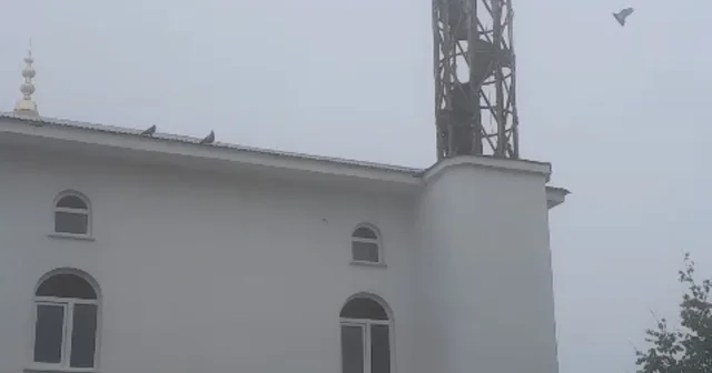 Güvercin yuvası minare yıkımını erteledi Fırtınada yıkılan minareye yuva yapan güvercini gören yayla sakinleri yıkım için minik yavruların yumurtadan çıkıp uçmasını bekliyor Trabzon Haberleri Habertürk Yerel Haberler