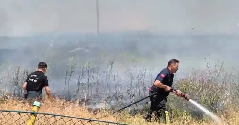 Anız yangınında zamanında müdahale dükkanları korudu