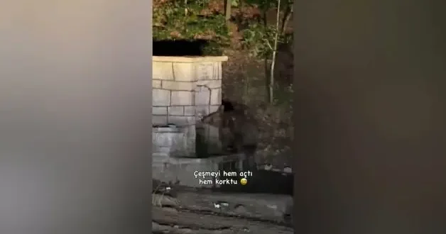Kızılcahamam da çeşmeden su içen ayının komik anları