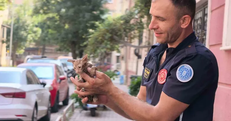 Yağmur suyu giderine sıkışan kediyi itfaiye kurtardı
