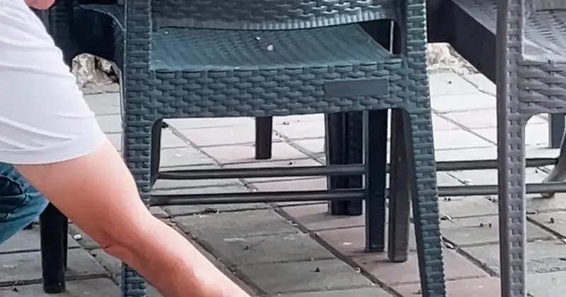 Çay bahçesinde yanına gelen sincabı çekirdekle besledi