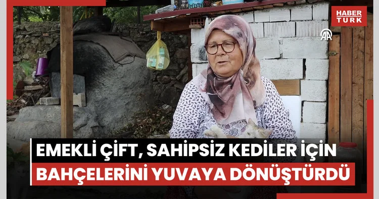 Emekli çift, sahipsiz kediler için bahçelerini yuvaya dönüştürdü